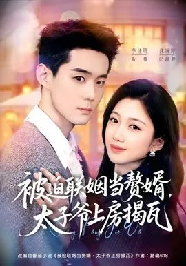 被迫联姻当赘婿,太子爷上房揭瓦