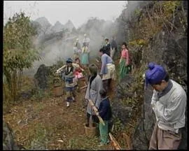 鱼公主红鲤公主